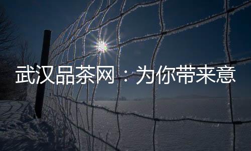 武汉品茶网：为你带来意想不到的茶叶之旅