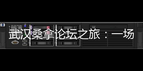 武汉桑拿论坛之旅：一场细腻感官的盛宴