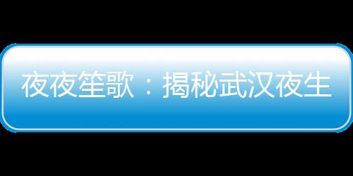 夜夜笙歌：揭秘武汉夜生活论坛背后的文化与社交风貌